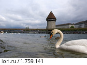 Люцерн, Швейцария (2010 год). Стоковое фото, фотограф Владимир Журавлев / Фотобанк Лори