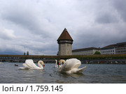 Люцерн, Швейцария (2010 год). Стоковое фото, фотограф Владимир Журавлев / Фотобанк Лори
