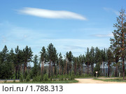 Забайкалье. Автодорога А-166 Чита-Забайкальск. Облака над лесом. Стоковое фото, фотограф Валерий Лаврушин / Фотобанк Лори