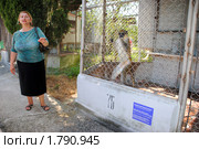 Экскурсовод в обезьяньем  питомнике в Сочи (2010 год). Редакционное фото, фотограф Анна Мартынова / Фотобанк Лори