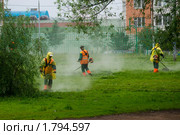 Работа газонокосильщика в дождь. Стоковое фото, фотограф Ирина Кожемякина / Фотобанк Лори