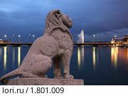 Тигр в Женеве (2010 год). Редакционное фото, фотограф Владимир Журавлев / Фотобанк Лори