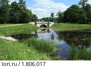 Гатчинский дворцовый парк (2010 год). Редакционное фото, фотограф Корчагина Полина / Фотобанк Лори