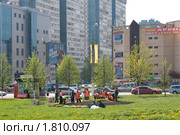 Москва. Благоустройство клумб и газонов (2010 год). Редакционное фото, фотограф Куликова Татьяна / Фотобанк Лори