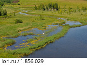 Речка Сходница и заводи Городищенского озера (2010 год). Редакционное фото, фотограф Виктор Карасев / Фотобанк Лори