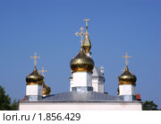 Купола церкви Троицы Живоначальной (Троицкая церковь). Московская область, Чеховский район, Ваулово (2010 год). Стоковое фото, фотограф Анна Менщикова / Фотобанк Лори