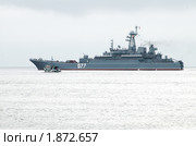 Большой десантный корабль БДК "Пересвет" на параде (2010 год). Редакционное фото, фотограф Сергеев Игорь / Фотобанк Лори