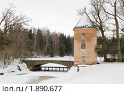 Пиль-башня. Павловск (2010 год). Редакционное фото, фотограф Александр Щепин / Фотобанк Лори