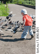 Бегает за голубями (2010 год). Редакционное фото, фотограф Михаил Павлов / Фотобанк Лори