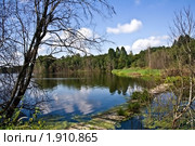 Рибшевское озеро (Смоленское Поозерье) (2010 год). Редакционное фото, фотограф Попонина Ольга / Фотобанк Лори