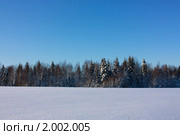 Зимний лес (2009 год). Редакционное фото, фотограф Дарья Фролова / Фотобанк Лори