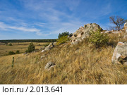 Склон холма с крупными глыбами кварцита. Стоковое фото, фотограф Борис Панасюк / Фотобанк Лори