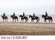 Группа всадников (2010 год). Редакционное фото, фотограф Олег Хархан / Фотобанк Лори