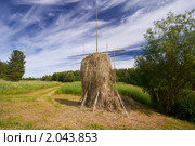 Стог сена (Уральский вариант) на фоне неба. Стоковое фото, фотограф Егор Никифоров / Фотобанк Лори