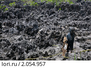 Каймановы острова. Ад (Hell) (2010 год). Стоковое фото, фотограф Ирина Фирсова / Фотобанк Лори