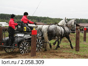 Чемпионат России по драйвингу 2010 в КСК "Свечинский". Экипаж С. Спектра (Россия) проходит препятствие. Редакционное фото, фотограф Устинова Мария / Фотобанк Лори