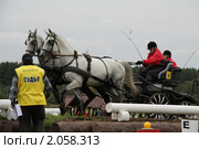 Чемпионат России по драйвингу 2010 в КСК "Свечинский". Экипаж С. Спектра преодолевает препятствие "банкетка". Редакционное фото, фотограф Устинова Мария / Фотобанк Лори