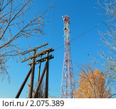 Телеграфный столб и радиовышка (2010 год). Стоковое фото, фотограф Анатолий Матвейчук / Фотобанк Лори