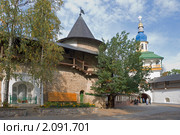 Псково-Печерский монастырь. Острожная и Петровская башни. Печоры (2010 год). Стоковое фото, фотограф Александр Щепин / Фотобанк Лори