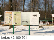 Информационный стенд о зубрах в Приокско-террасном заповеднике (2010 год). Редакционное фото, фотограф Щеголева Ольга / Фотобанк Лори