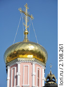 Купол. Свято-Иоанно-Богословский мужской монастырь, село Пощупово Рыбновского района. Рязанская область. Стоковое фото, фотограф stargal / Фотобанк Лори
