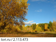 Золотая осень. Стоковое фото, фотограф Александр Тараканов / Фотобанк Лори
