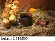 Натюрморт с кружкой и связкой лука. Стоковое фото, фотограф Дмитрий Черевко / Фотобанк Лори