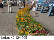 Цветочный ковер к дню праздника города Вентспилса (2010 год). Редакционное фото, фотограф Блинков Владимир / Фотобанк Лори