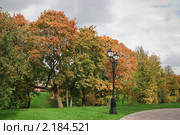 Природный музей-заповедник "Царицыно". Фрагмент (2010 год). Редакционное фото, фотограф Алёшина Оксана / Фотобанк Лори