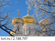 Православный Свято-Троицкий Ипатьевский мужской монастырь в Костроме, Троицкий собор (2010 год). Стоковое фото, фотограф ElenArt / Фотобанк Лори