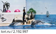 Дельфины и дрессировщица, дельфинарий г. Севастополь (2010 год). Редакционное фото, фотограф ИВА Афонская / Фотобанк Лори