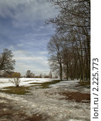 Весенний пейзаж. Первые проталины (2010 год). Стоковое фото, фотограф Самойлова Екатерина / Фотобанк Лори