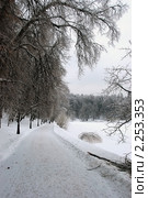 Зимний пейзаж. Царицыно (2010 год). Редакционное фото, фотограф lana1501 / Фотобанк Лори