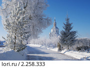 Свенский (Свято-успенский) мужской монастырь, Брянск, Супонево зимой (2011 год). Стоковое фото, фотограф Александр Шилин / Фотобанк Лори
