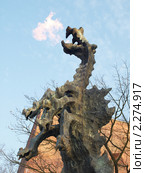 Краков, Польша (2011 год). Редакционное фото, фотограф Миронова Евгения / Фотобанк Лори