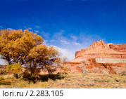 Национальный парк Капитол Риф (англ.Capitol Reef National Park) Стоковое фото, фотограф Ирина Кожемякина / Фотобанк Лори