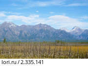 Погибший лес на фоне гор, БАМ. Стоковое фото, фотограф Владимир Горощенко / Фотобанк Лори