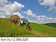 Перевозка сена. Стоковое фото, фотограф Швадчак Василий / Фотобанк Лори