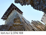 Стены Невицкого замка (2010 год). Стоковое фото, фотограф Юрий Брыкайло / Фотобанк Лори