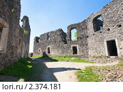 Невицкий замок (2010 год). Стоковое фото, фотограф Юрий Брыкайло / Фотобанк Лори