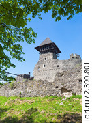 Невицкий замок, Украина (2010 год). Стоковое фото, фотограф Юрий Брыкайло / Фотобанк Лори