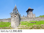 Невицкий замок, Украина (2010 год). Стоковое фото, фотограф Юрий Брыкайло / Фотобанк Лори