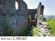 Невицкий замок, Украина (2010 год). Стоковое фото, фотограф Юрий Брыкайло / Фотобанк Лори