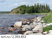 На берегу Белого моря. Стоковое фото, фотограф Михаил Иванов / Фотобанк Лори
