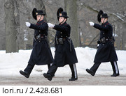 Церемония смены караула около королевского дворца в Осло, Норвегия (2011 год). Редакционное фото, фотограф Михаил Марковский / Фотобанк Лори