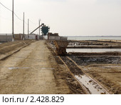 Саки, Восточный лечебный водоем Сакского озера, Сакская ГГРЭС (2011 год). Стоковое фото, фотограф Анна Мартынова / Фотобанк Лори
