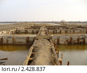 Саки, Восточный лечебный водоем Сакского озера, Сакская ГГРЭС (2011 год). Стоковое фото, фотограф Анна Мартынова / Фотобанк Лори