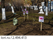 Акция "Москва - город сирени" (2011 год). Редакционное фото, фотограф Чередниченко Ольга / Фотобанк Лори