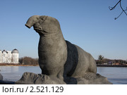 Калининград. Скульптура морского слона у Верхнего пруда (2011 год). Редакционное фото, фотограф Наталья Белотелова / Фотобанк Лори