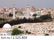 Тунис (2011 год). Стоковое фото, фотограф Некрасов Андрей / Фотобанк Лори